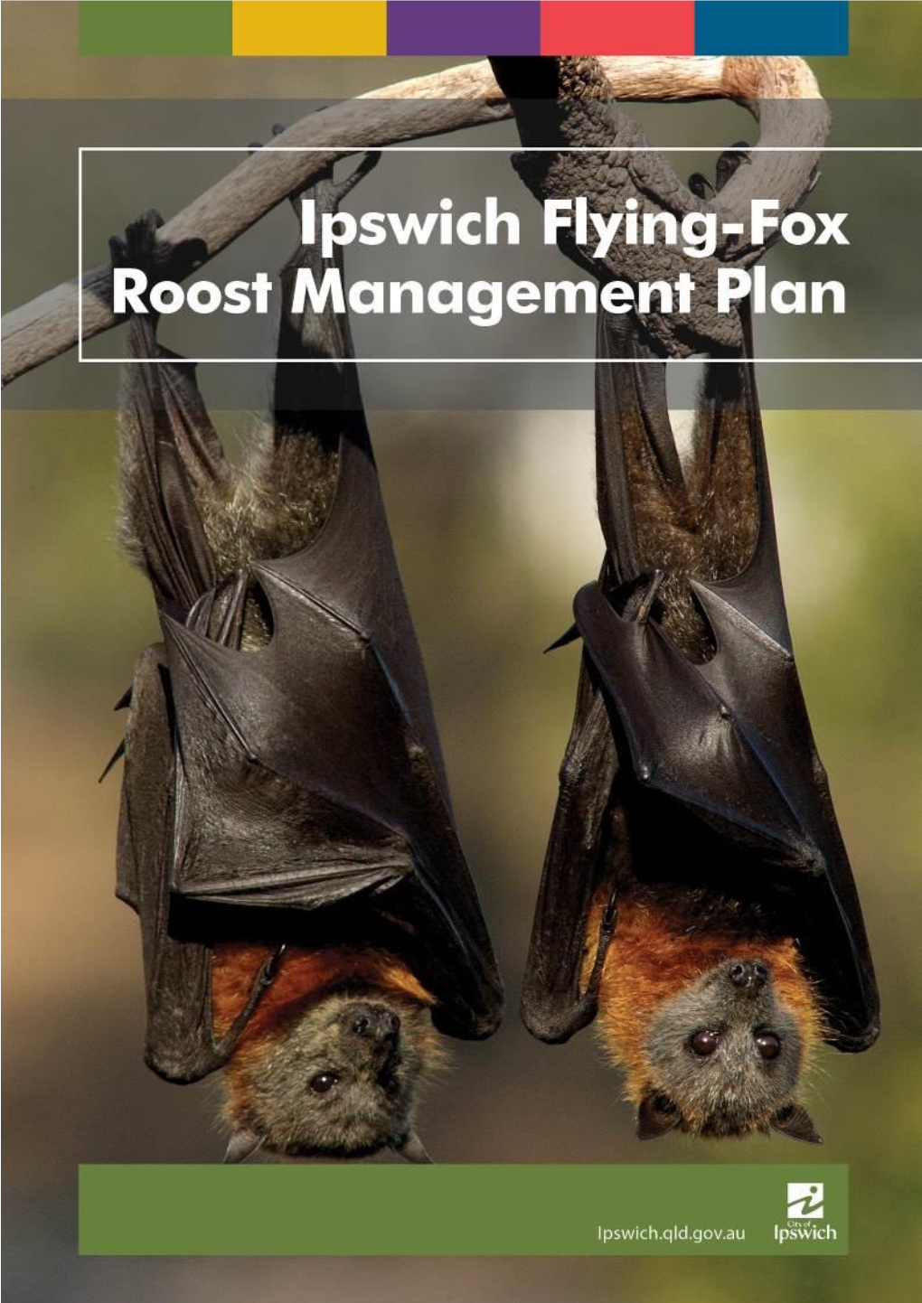 Ipswich Flying-Fox Roost Management Plan Document Type: Final