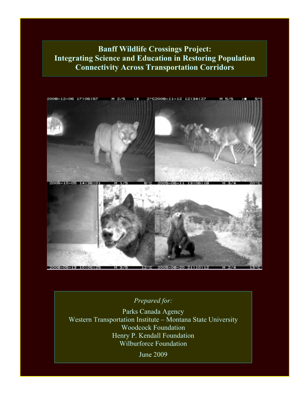 Banff Wildlife Crossings Project: Integrating Science and Education in Restoring Population Connectivity Across Transportation Corridors