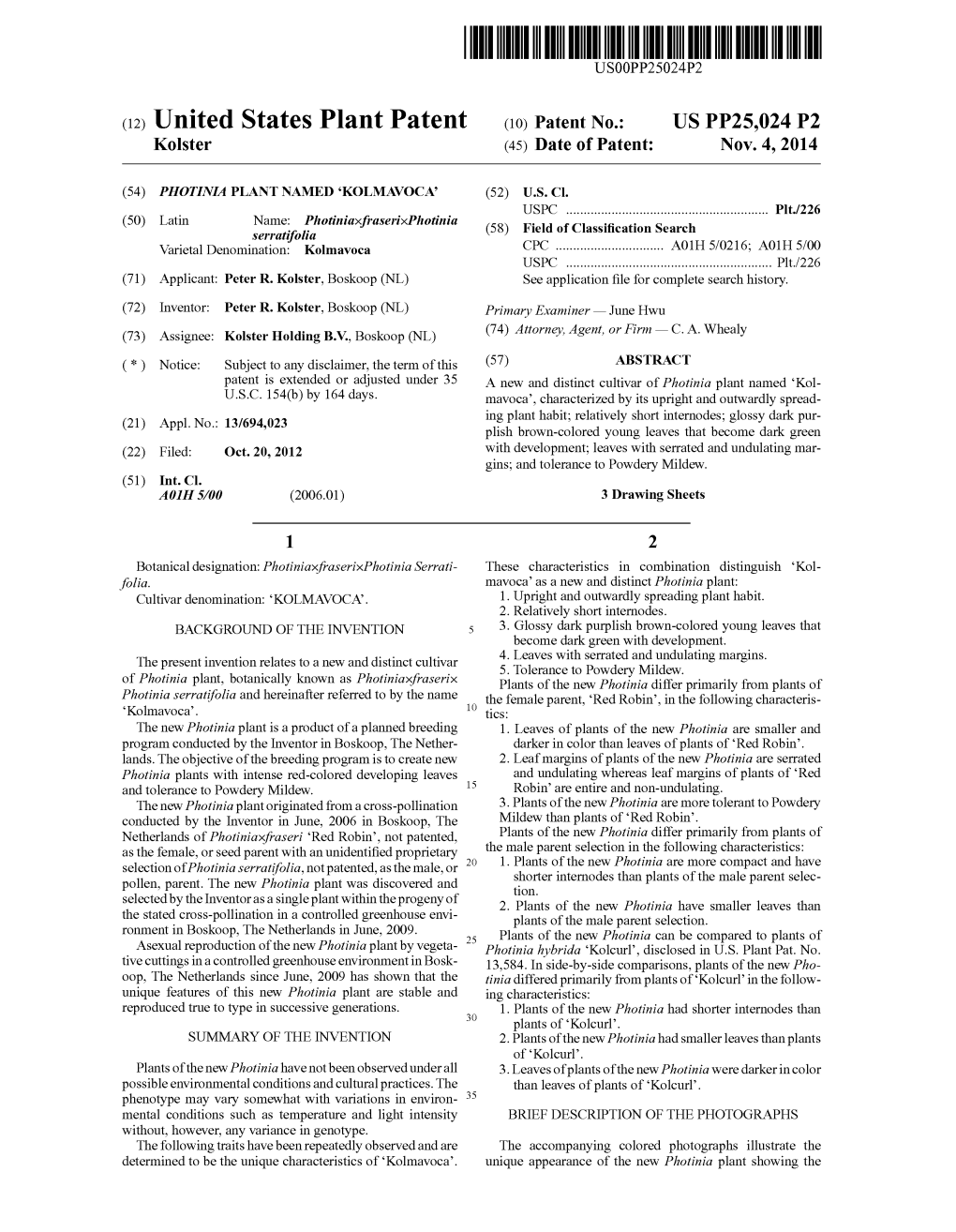 (12) United States Plant Patent (10) Patent No.: US PP25,024 P2 Kolster (45) Date of Patent: Nov