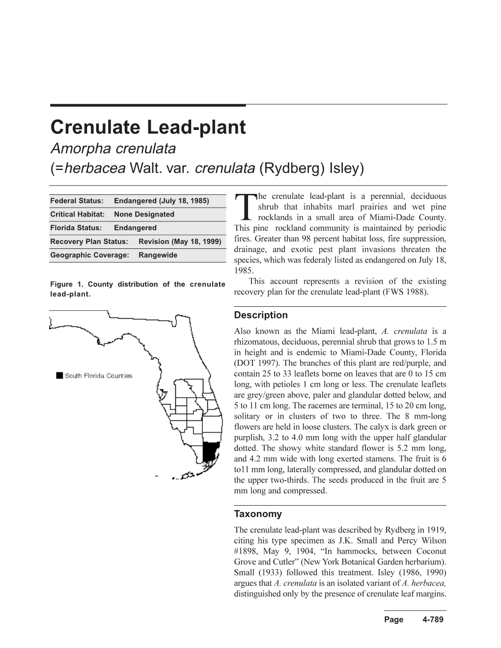 Crenulate Lead-Plant Amorpha Crenulata (=Herbacea Walt