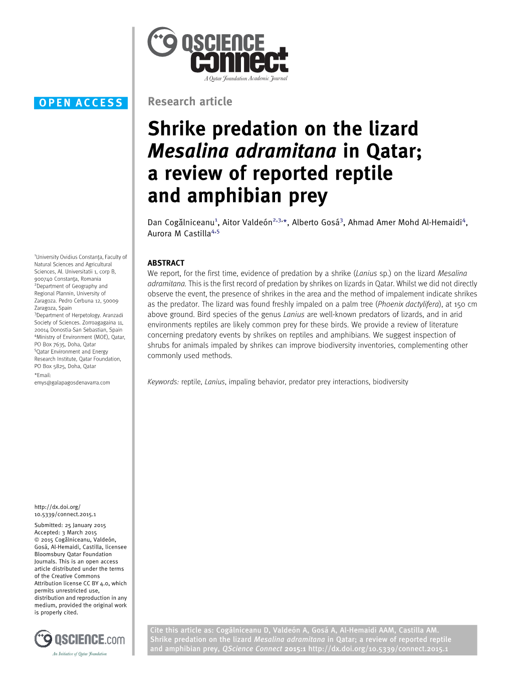 Shrike Predation on the Lizard Mesalina Adramitana in Qatar; a Review of Reported Reptile and Amphibian Prey