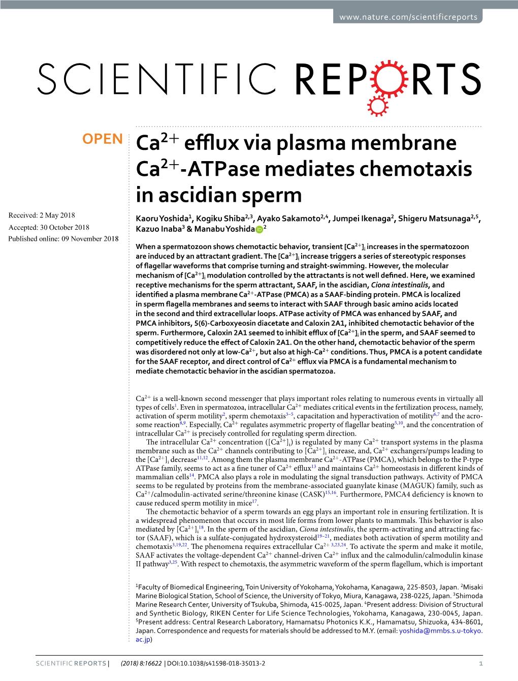 Ca2+ Efflux Via Plasma Membrane Ca2+-Atpase Mediates Chemotaxis