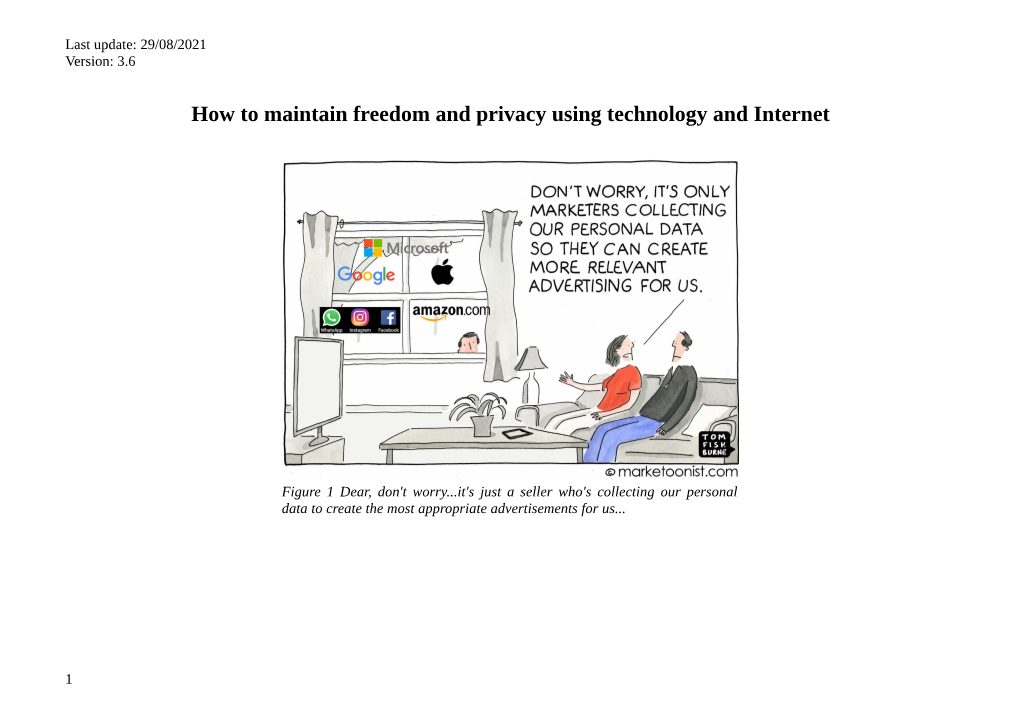 How to Maintain Freedom and Privacy Using Technology and Internet