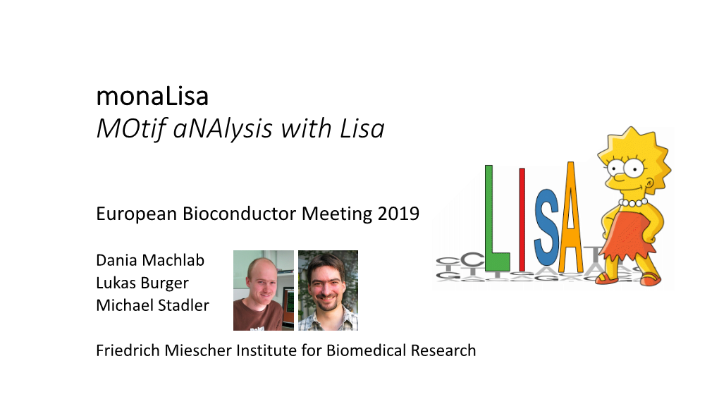 Monalisa: Motif Analysis with Lisa