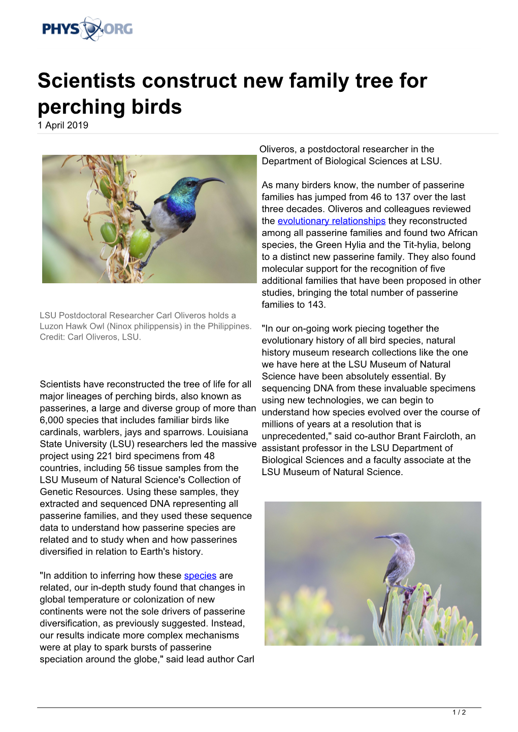 Scientists Construct New Family Tree for Perching Birds 1 April 2019