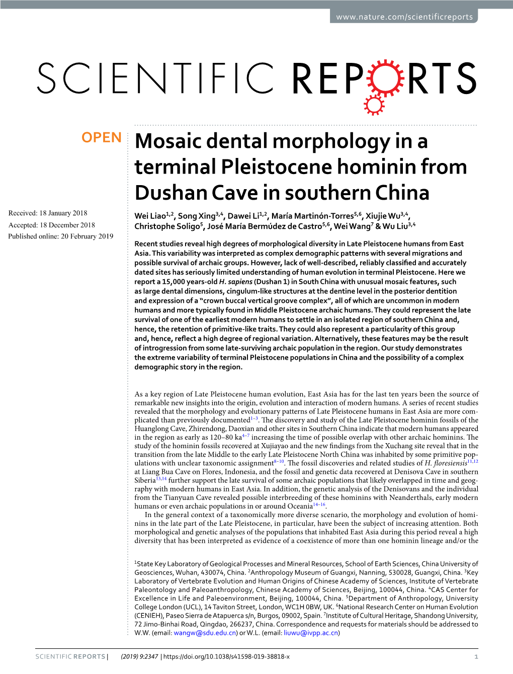 Mosaic Dental Morphology in a Terminal Pleistocene Hominin From