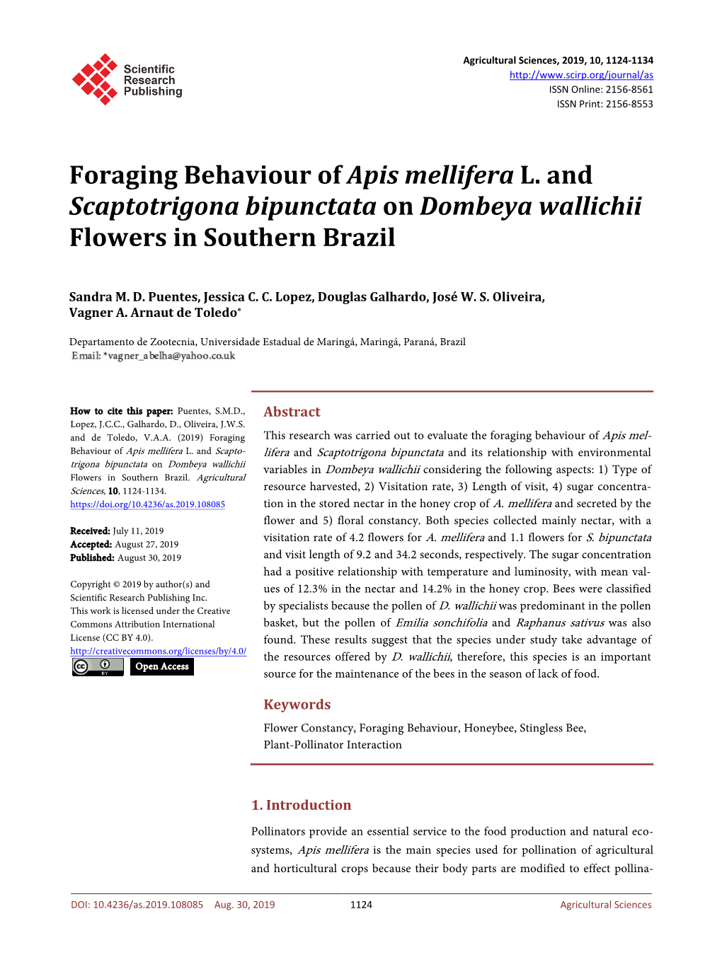 Foraging Behaviour of Apis Mellifera L. and Scaptotrigona Bipunctata on Dombeya Wallichii Flowers in Southern Brazil