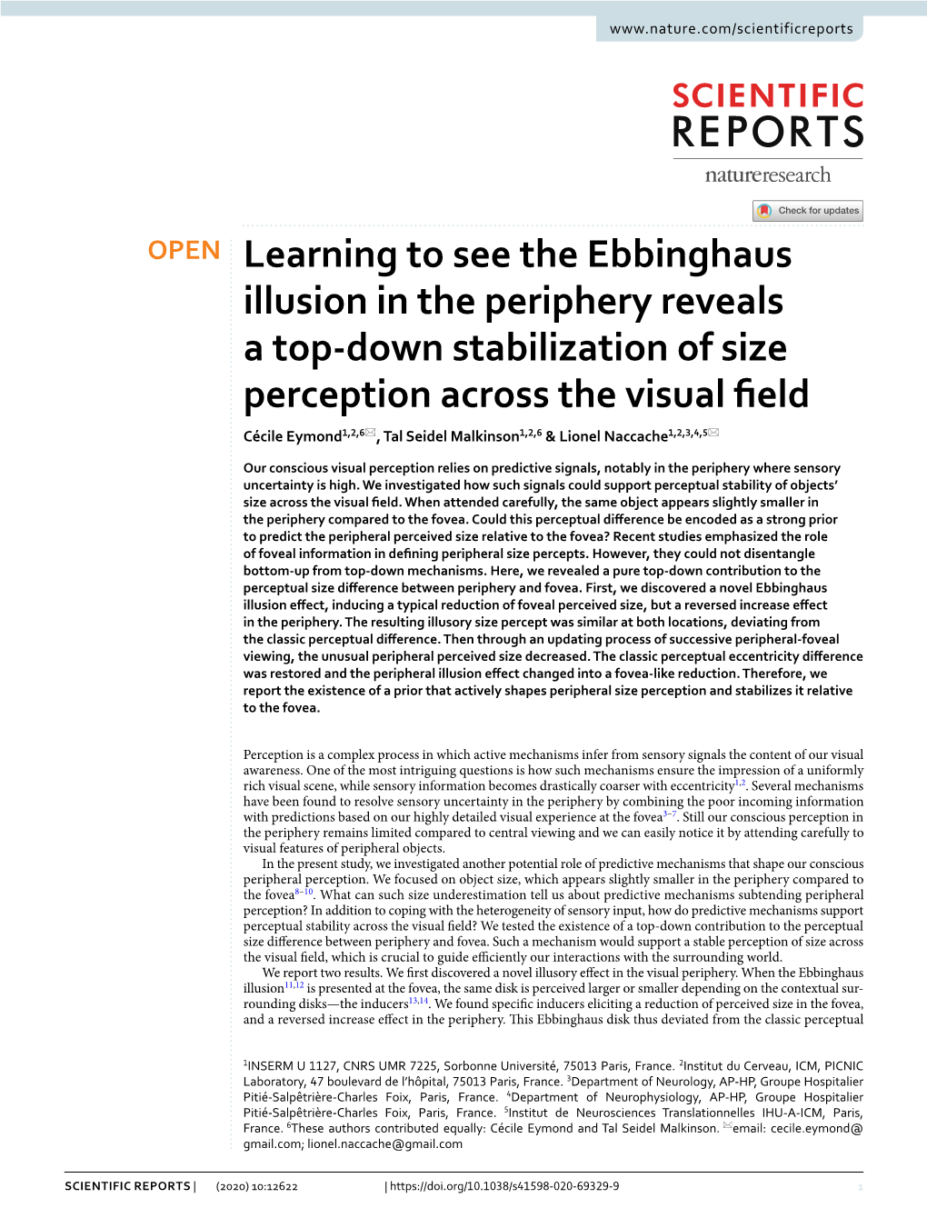 Learning to See the Ebbinghaus Illusion in the Periphery Reveals a Top-Down Stabilization of Size Perception Across the Visual F