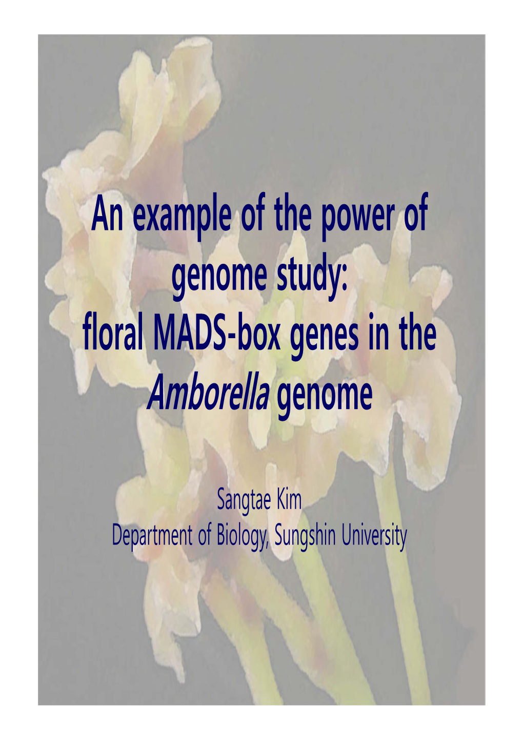 Amborella Genome