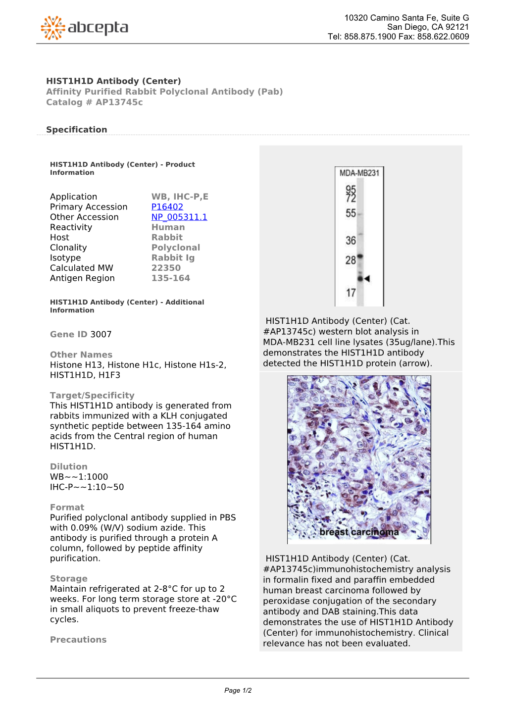 HIST1H1D Antibody (Center) Affinity Purified Rabbit Polyclonal Antibody (Pab) Catalog # Ap13745c