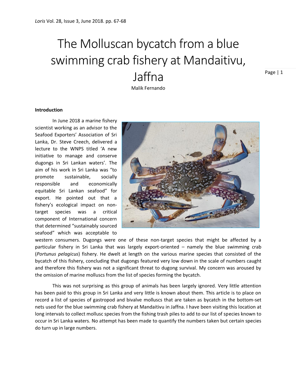 The Molluscan Bycatch from a Blue Swimming Crab Fishery at Mandaitivu, Jaffna Page | 1 Malik Fernando