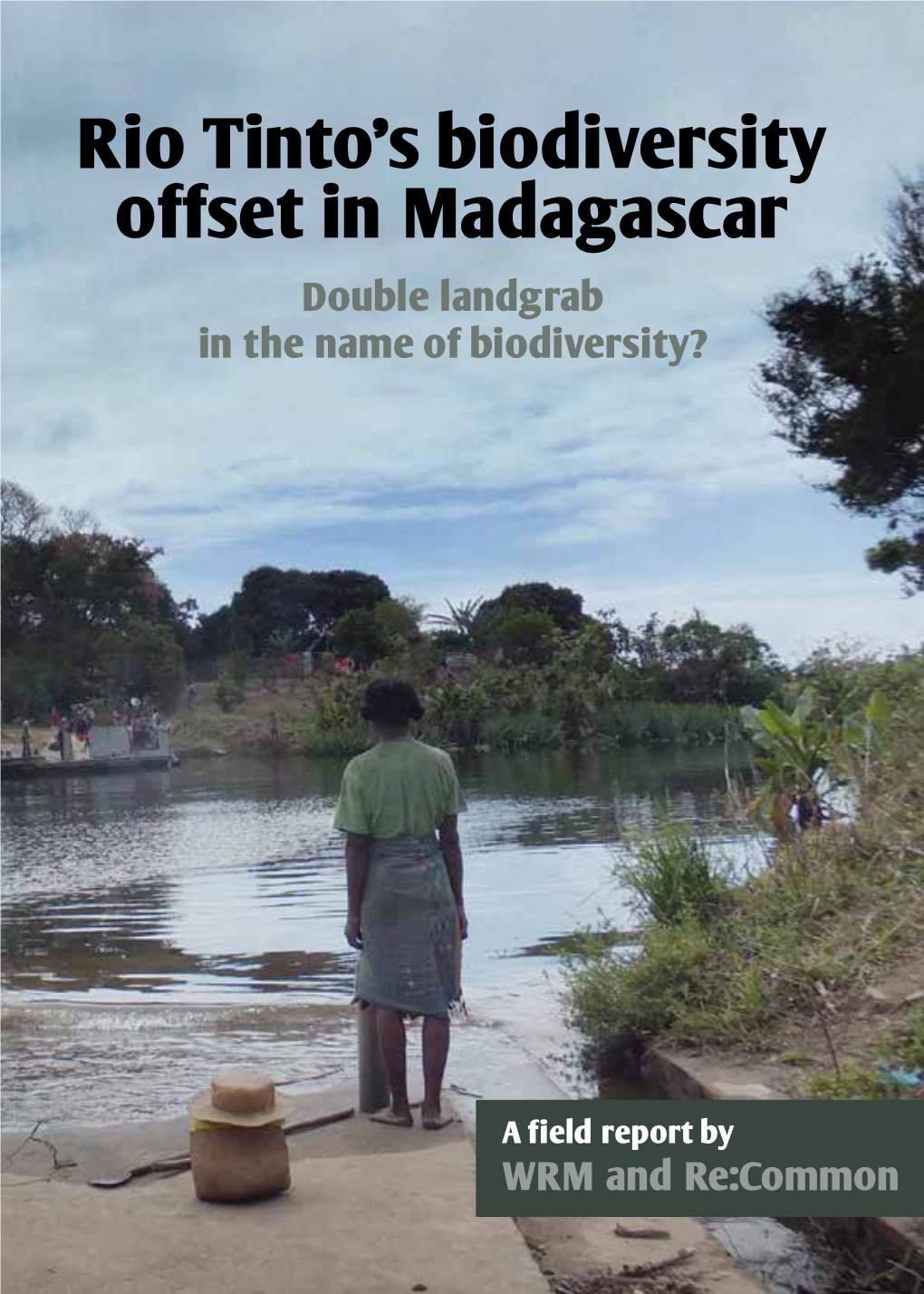 Rio Tinto's Biodiversity Offset in Madagascar