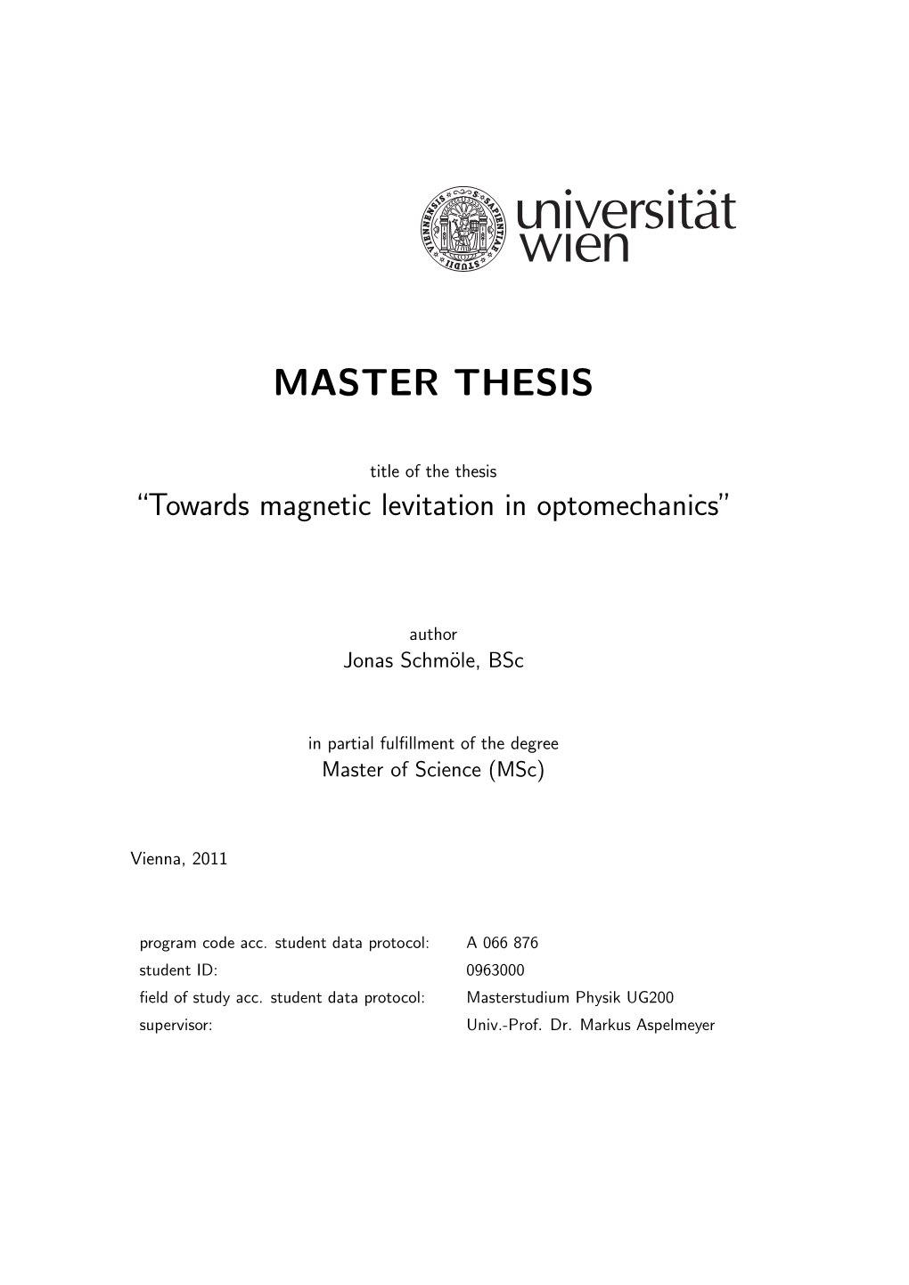 Master Thesis