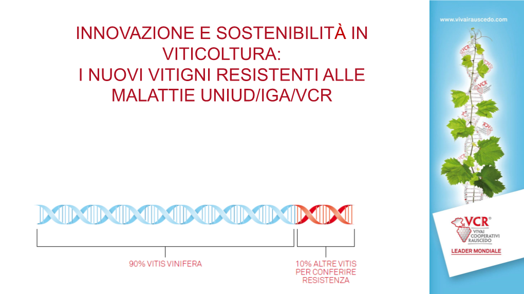 I Nuovi Vitigni Resistenti Alle Malattie Uniud/Iga/Vcr La Creazione Attraverso Ibridazione Di Nuovi Vitigni Resistenti Alle Malattie