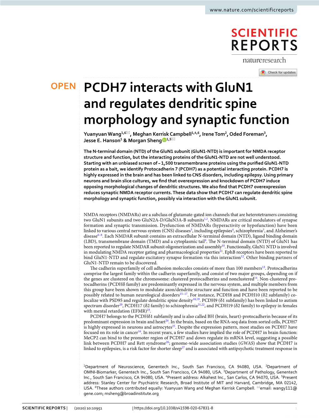 PCDH7 Interacts with Glun1 and Regulates Dendritic Spine