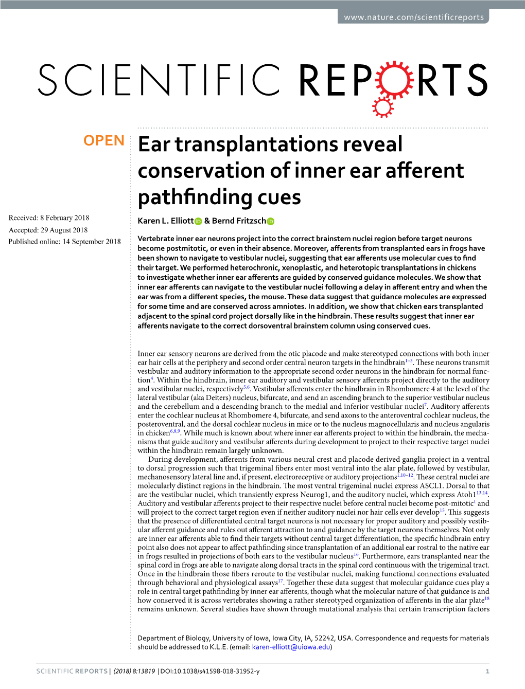 Ear Transplantations Reveal Conservation of Inner Ear Afferent