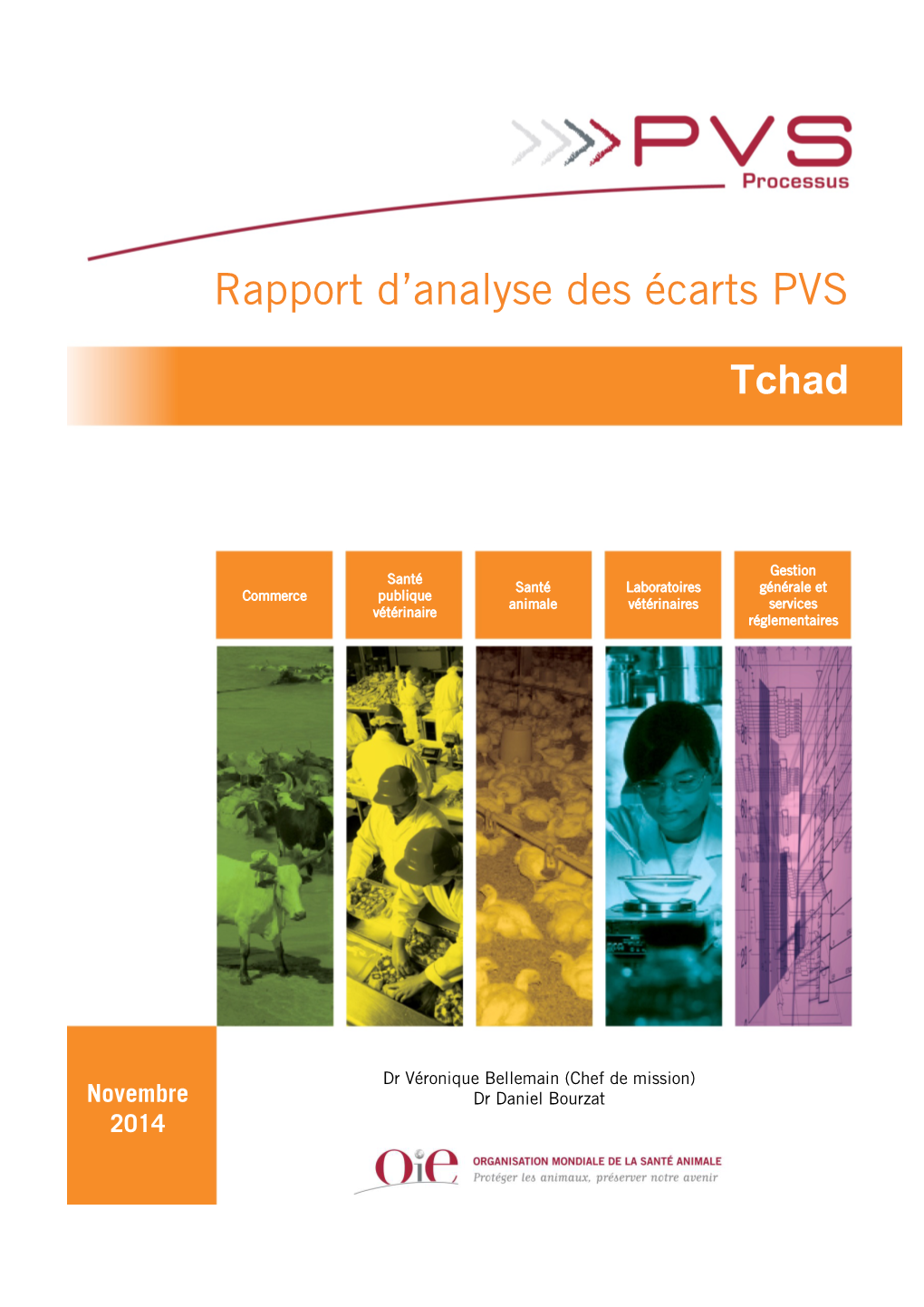 Tchad (Chad) PVS Gap-Analysis