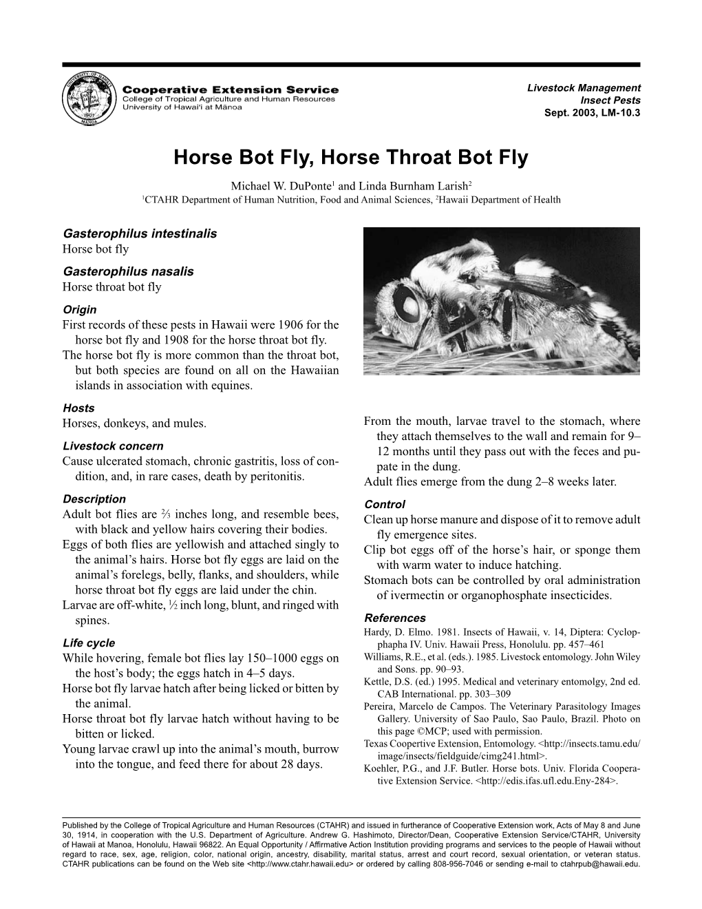 Horse Bot Flies