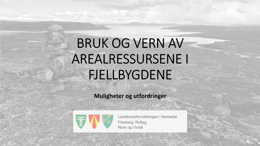 Bruk Og Vern Av Arealressursene I Fjellbygdene