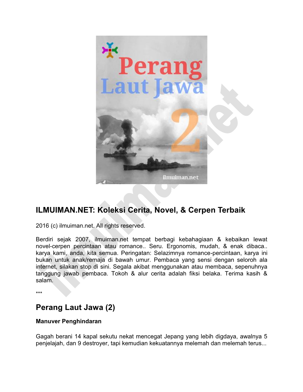 Perang Laut Jawa (2)