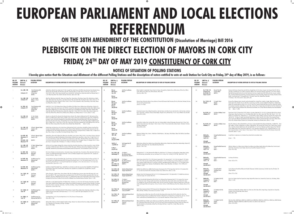 Plebiscite on the Direct Election of Mayors in Cork