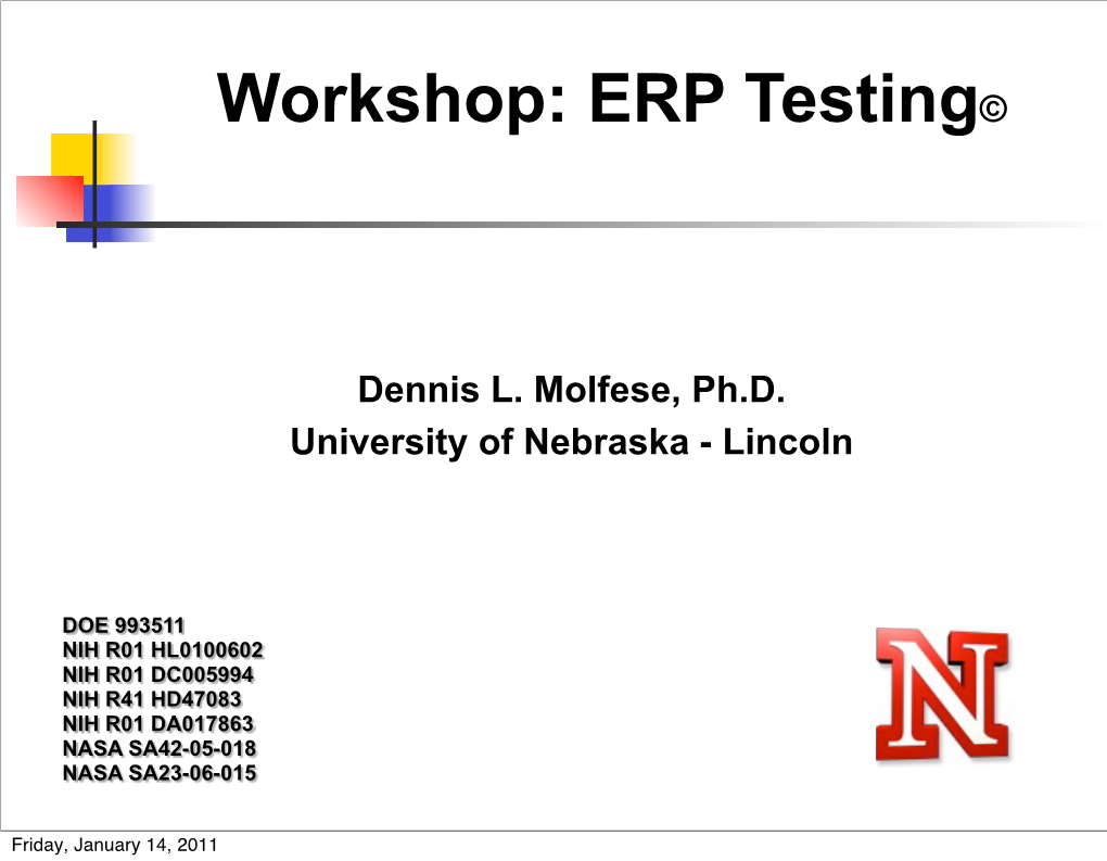 Workshop: ERP Testing©