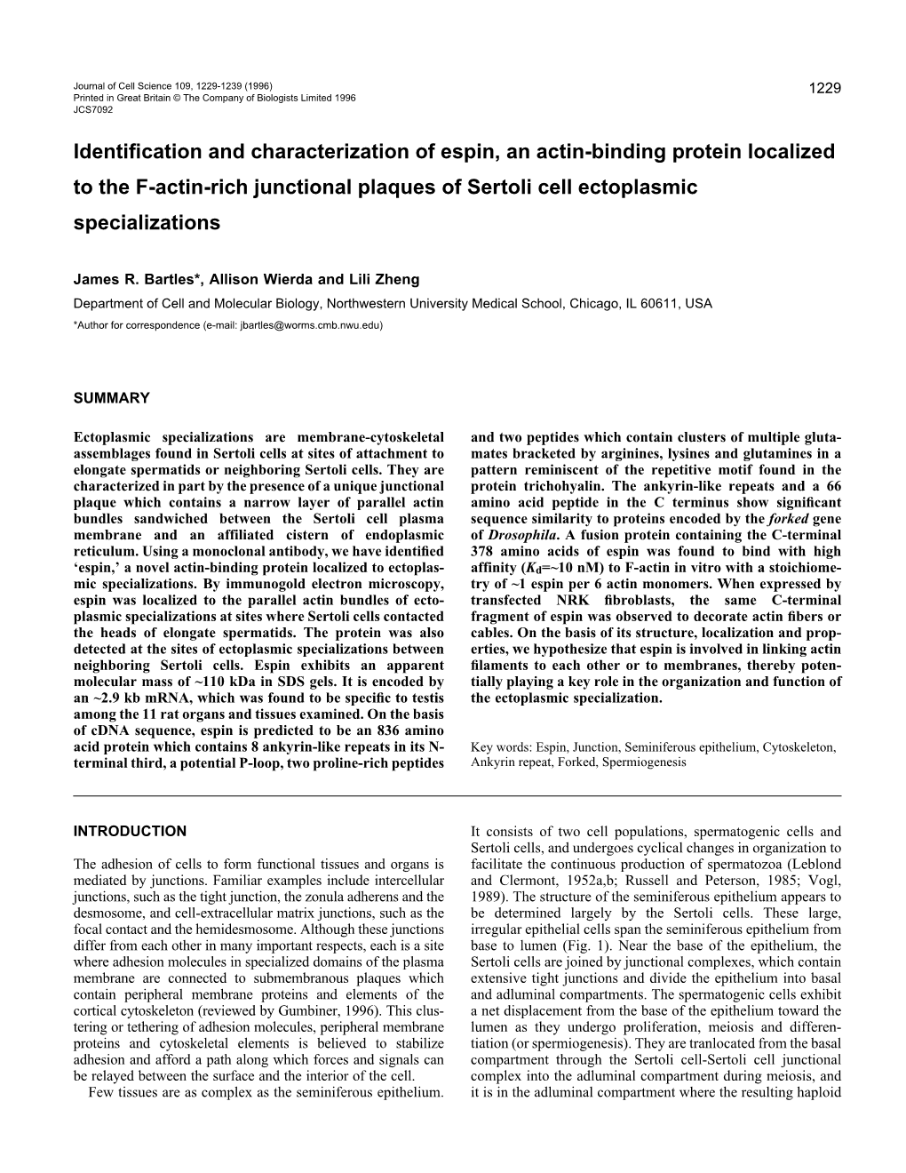 Identification and Characterization of Espin, an Actin-Binding Protein