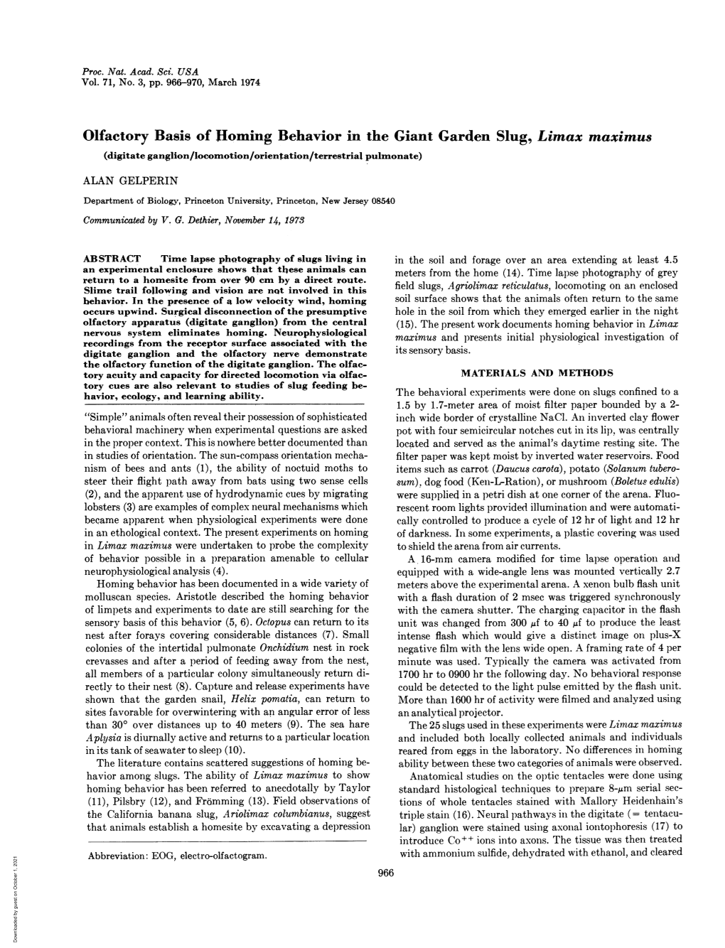 Olfactory Basis of Homing Behavior in the Giant Garden Slug