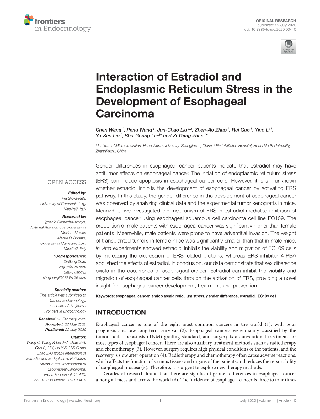 Interaction of Estradiol and Endoplasmic Reticulum Stress in the Development of Esophageal Carcinoma