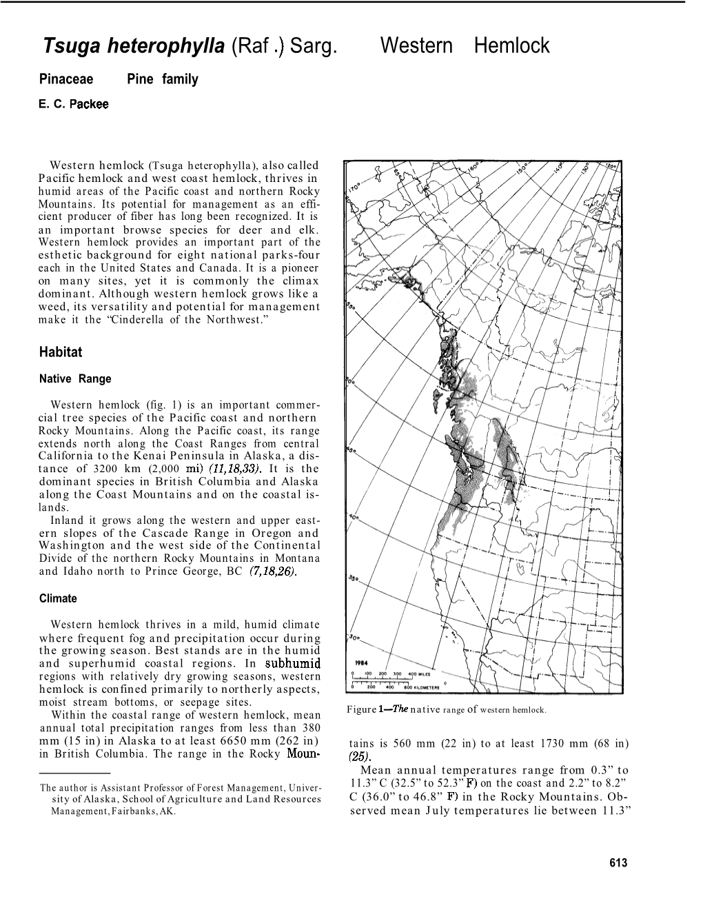 Western Hemlock