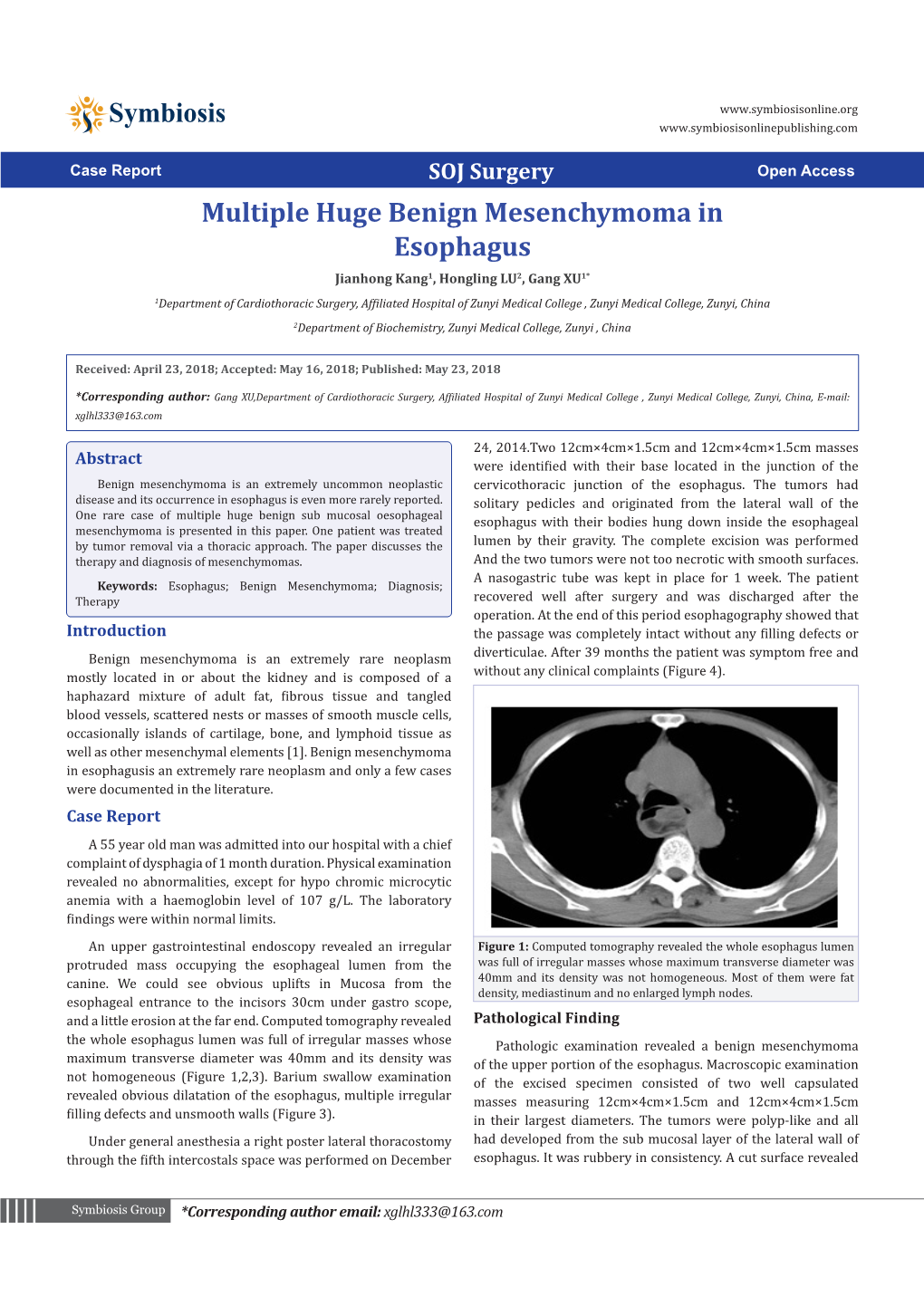 Multiple Huge Benign Mesenchymoma in Esophagus