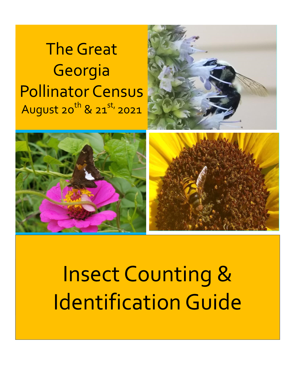 Insect Counting & Identification Guide