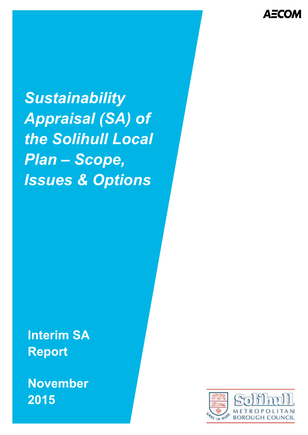 Sustainability Appraisal of Scope Issues and Options 2015