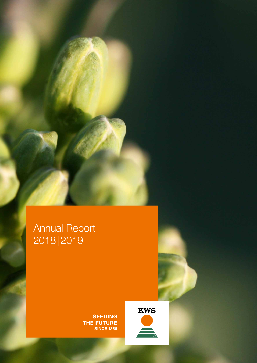 Annual Report 2018 | 2019 2018 |2019 Annual Report KWS in Figures