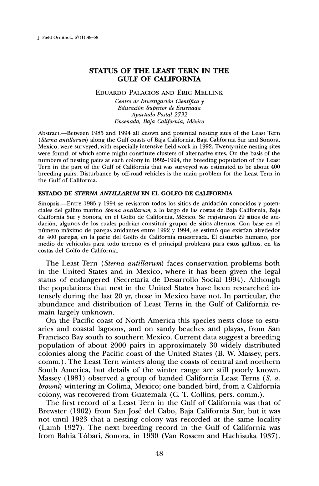 Status of the Least Tern in the Gulf of California