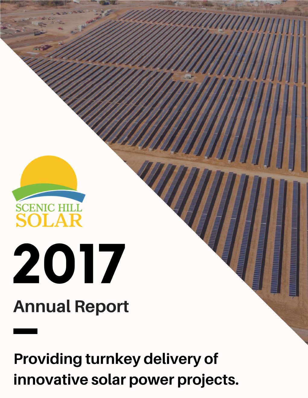 SHS-Annual-Report-2017.Pdf