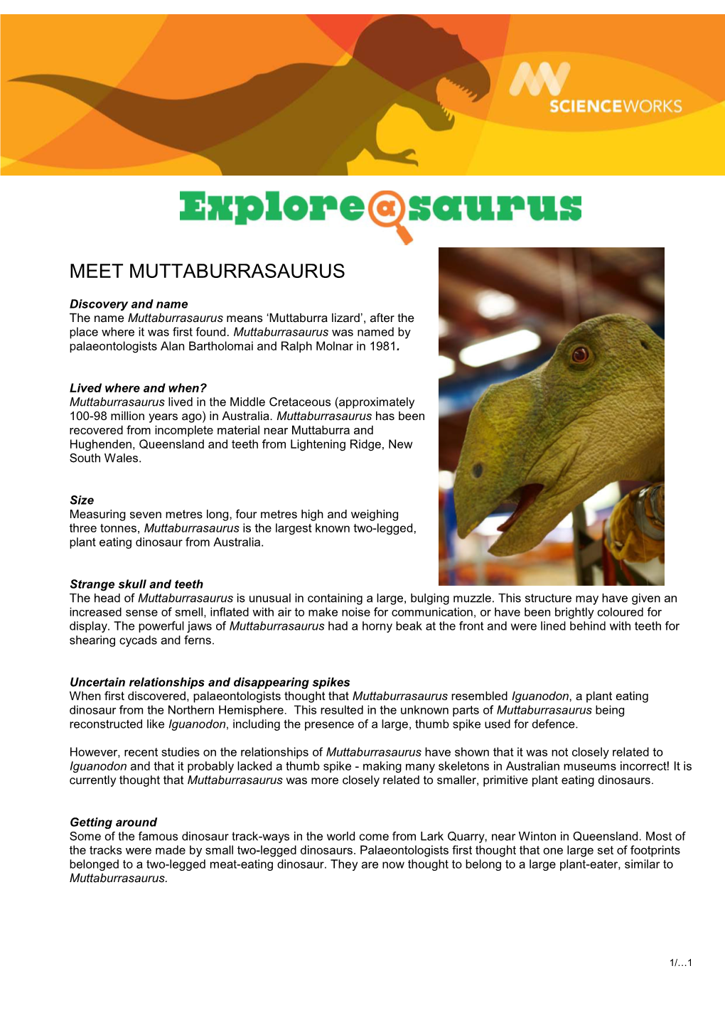 Meet Muttaburrasaurus