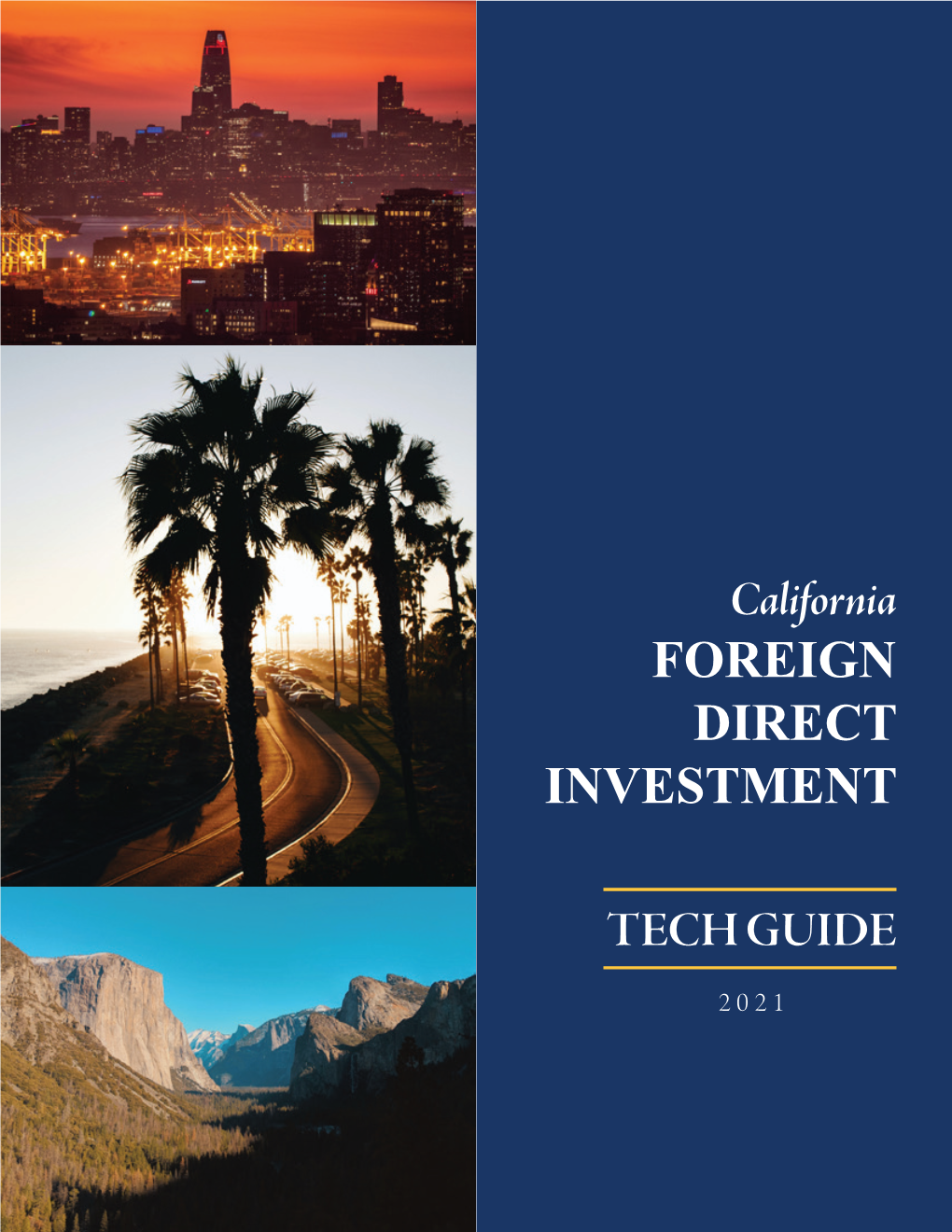 Foreign Direct Investment