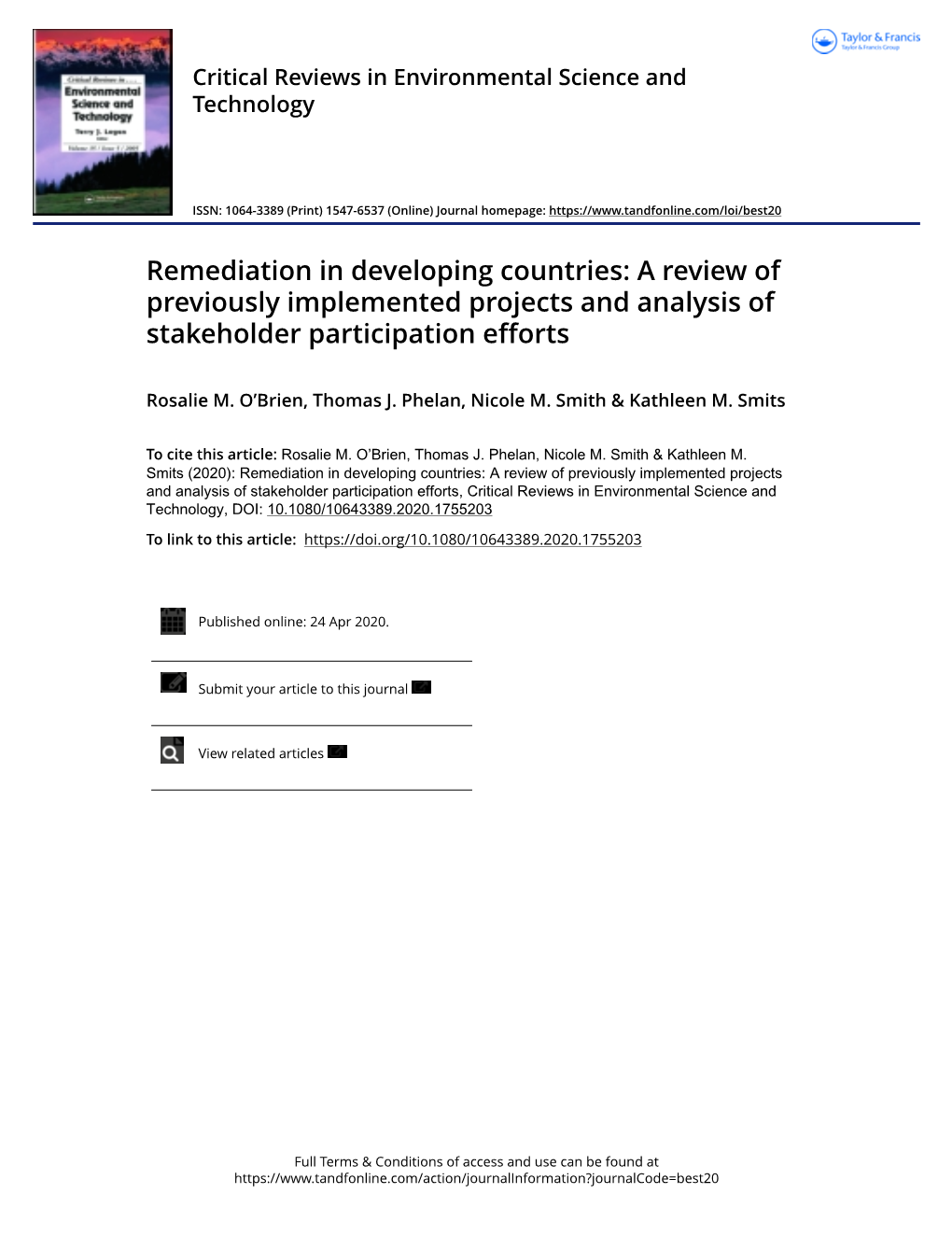 Remediation in Developing Countries: a Review of Previously Implemented Projects and Analysis of Stakeholder Participation Efforts