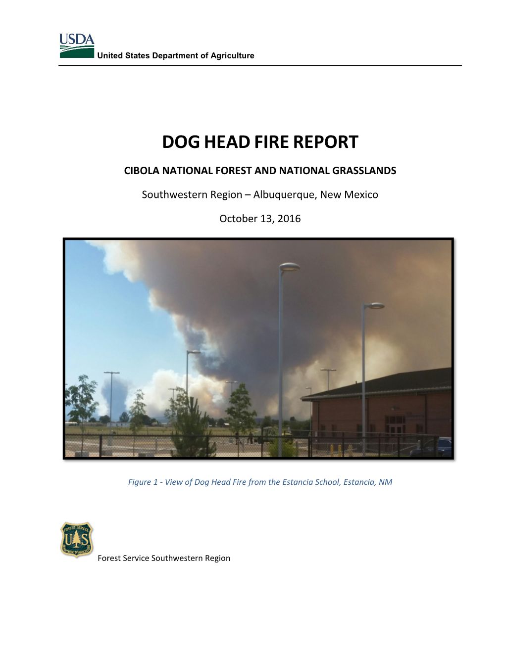 Dog Head Fire, Cibola National Forest