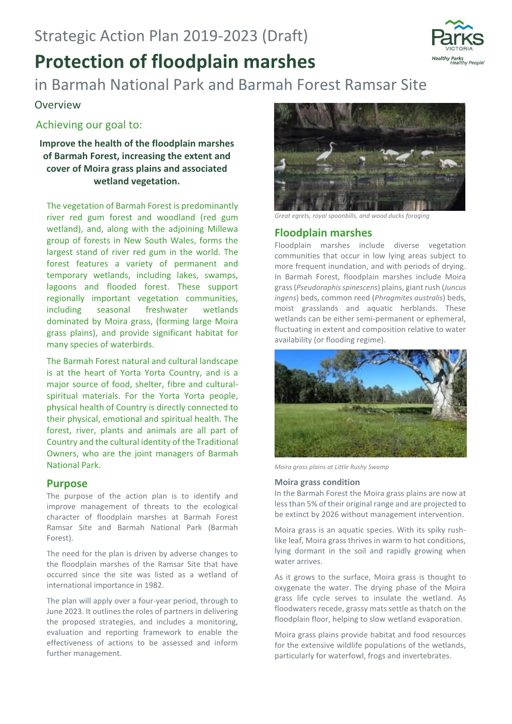 Protection of Floodplain Marshes in Barmah National Park and Barmah Forest Ramsar Site Overview Achieving Our Goal To