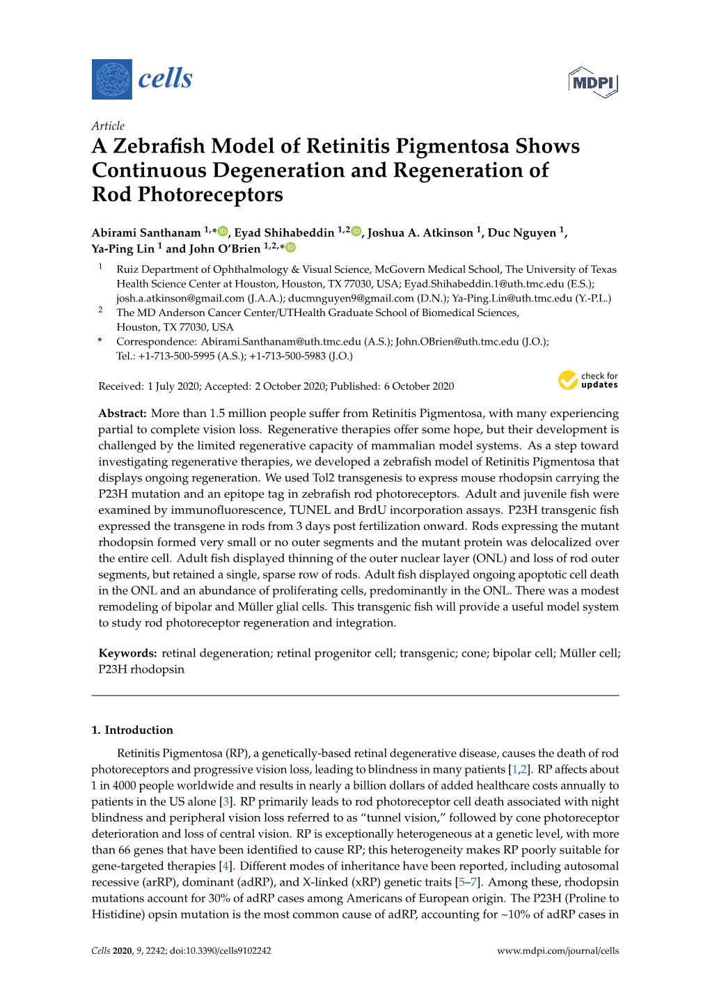 A Zebrafish Model of Retinitis Pigmentosa Shows Continuous