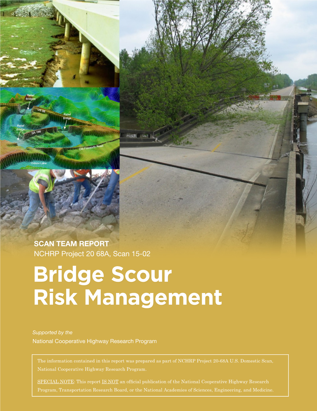 Bridge Scour Risk Management