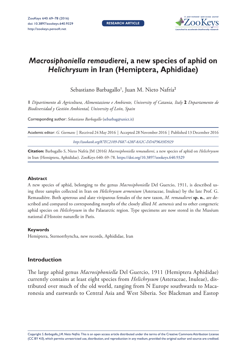 ﻿Macrosiphoniella Remaudierei, a New Species of Aphid on Helichrysum in Iran (Hemiptera Aphididae)