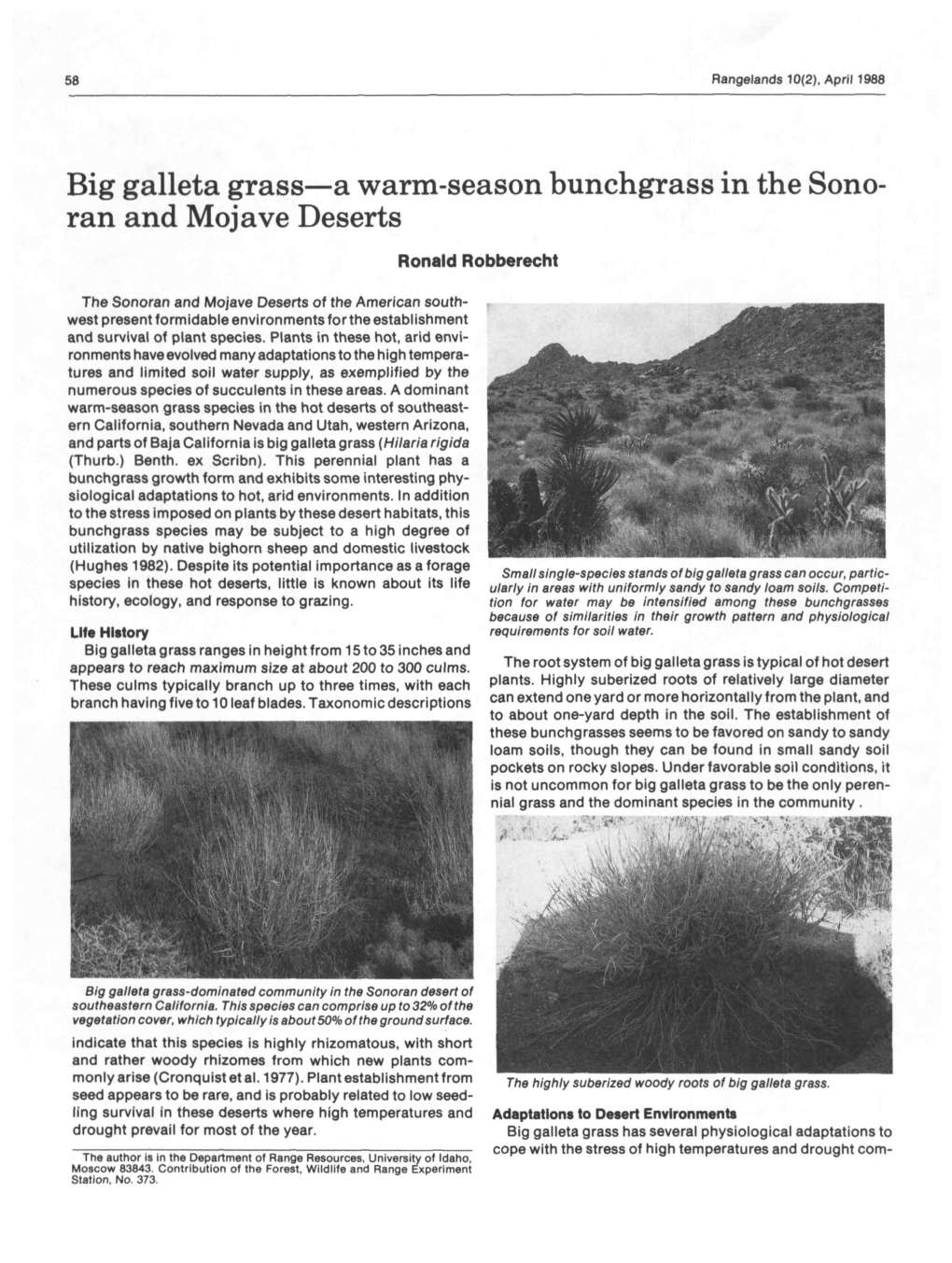 Big Galleta Grass—A Warm-Season Bunchgrass in the Sono- Ran and Mojave Deserts Ronald Robberecht