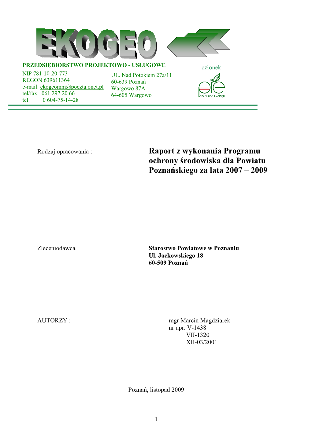 Treść Raportu (Plik PDF)