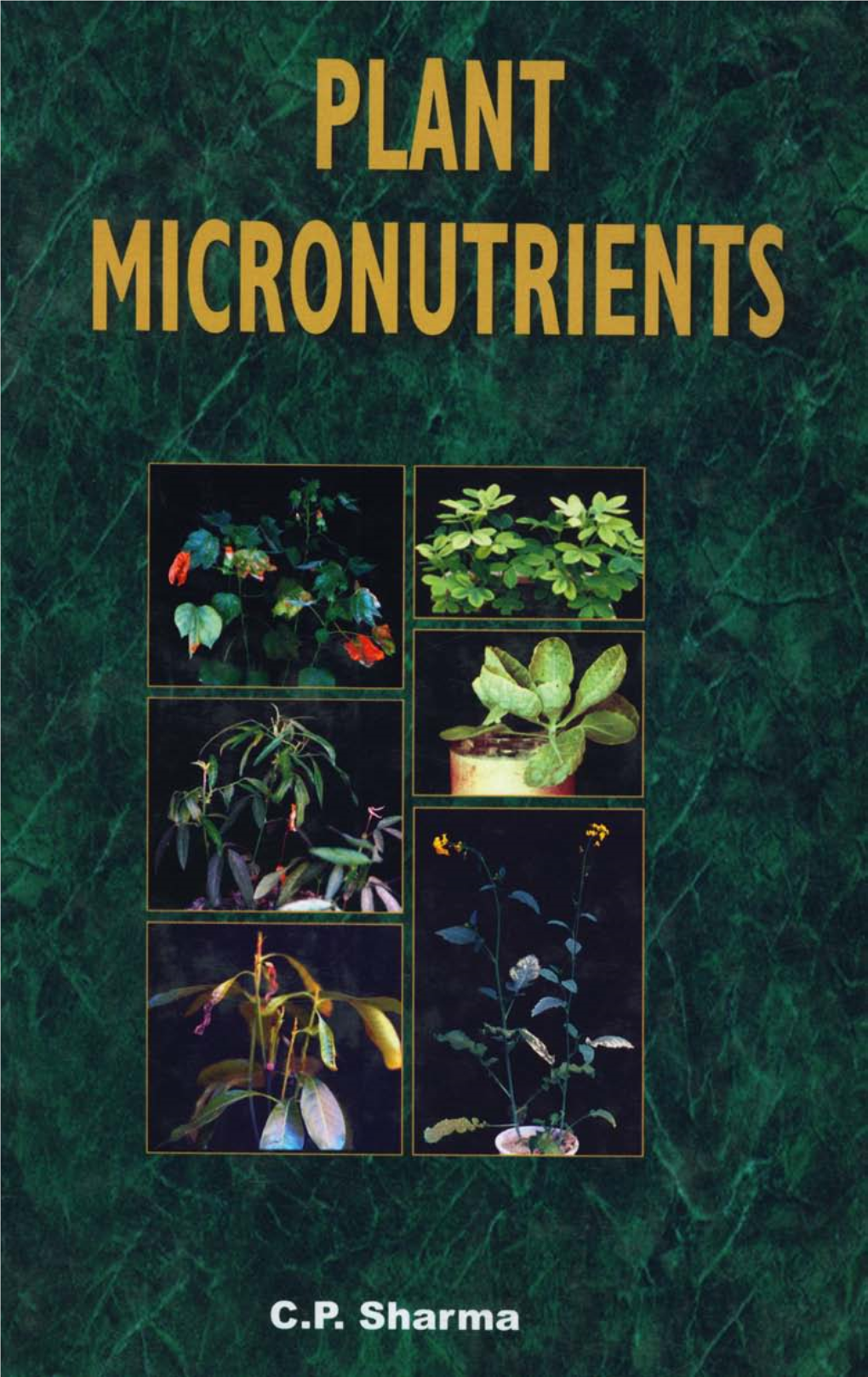 Plant Micronutrients