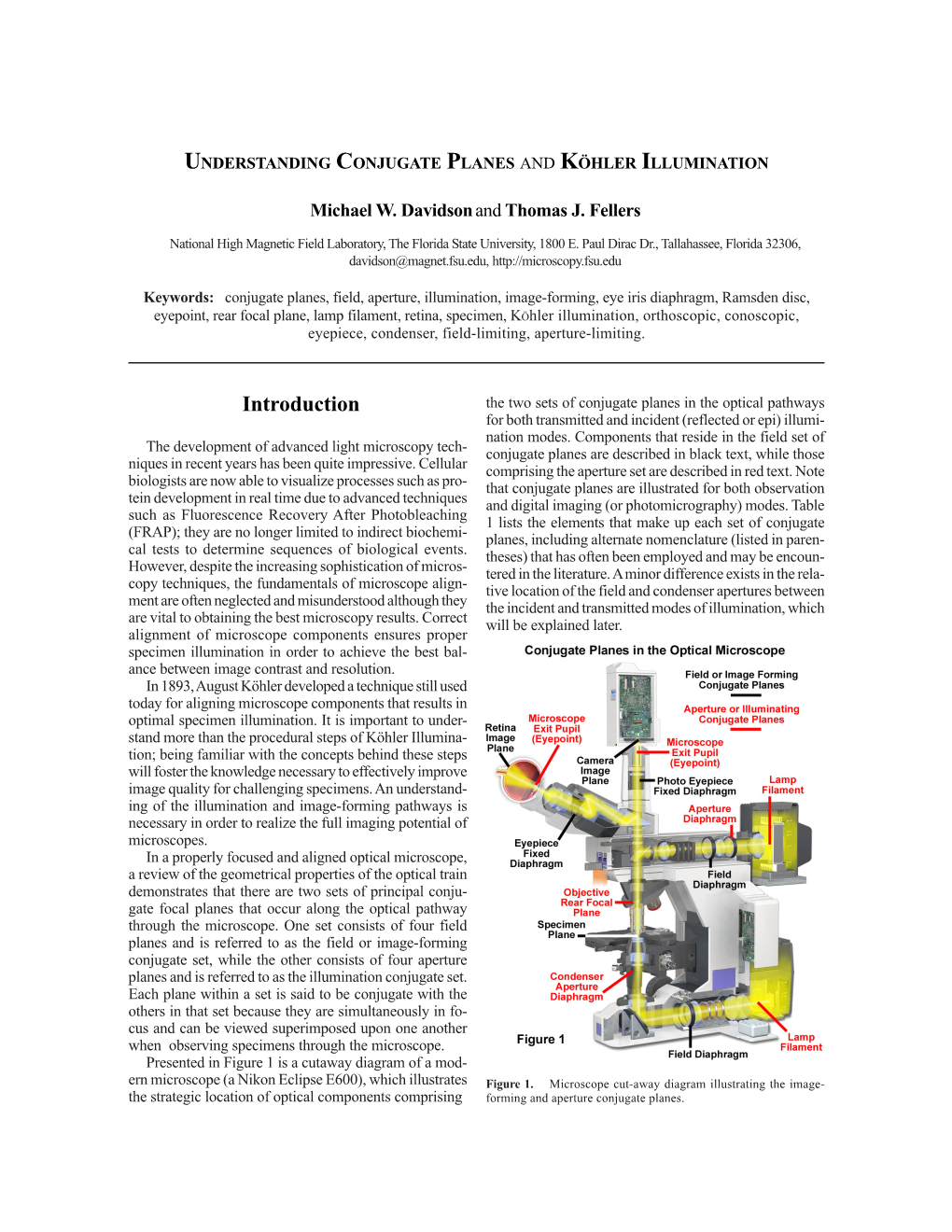 Introduction the Two Sets of Conjugate Planes in the Optical Pathways for Both Transmitted and Incident (Reflected Or Epi) Illumi- Nation Modes