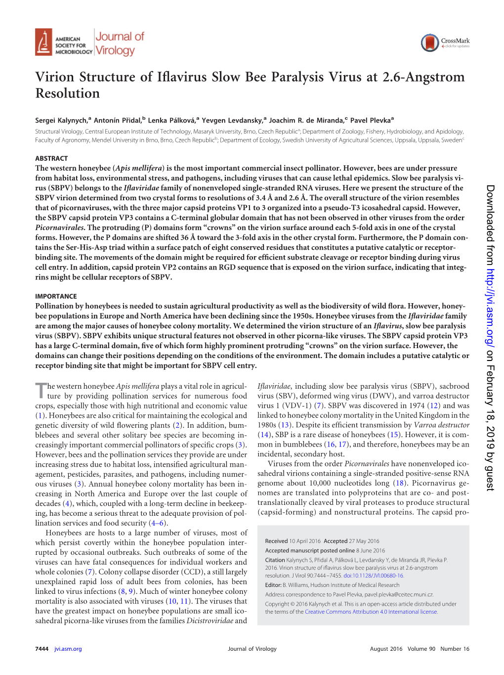 Virion Structure of Iflavirus Slow Bee Paralysis Virus at 2.6-Angstrom