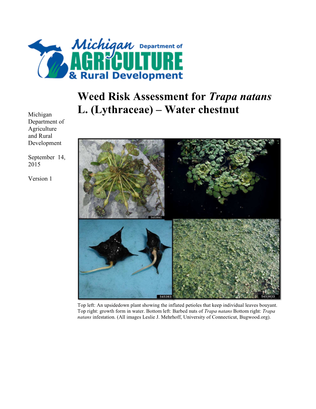 MDARD Weed Risk Assessment for Water Chestnut (Trapa Natans)